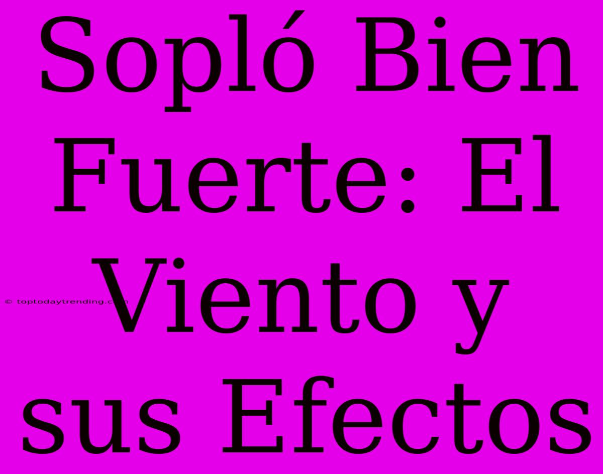 Sopló Bien Fuerte: El Viento Y Sus Efectos