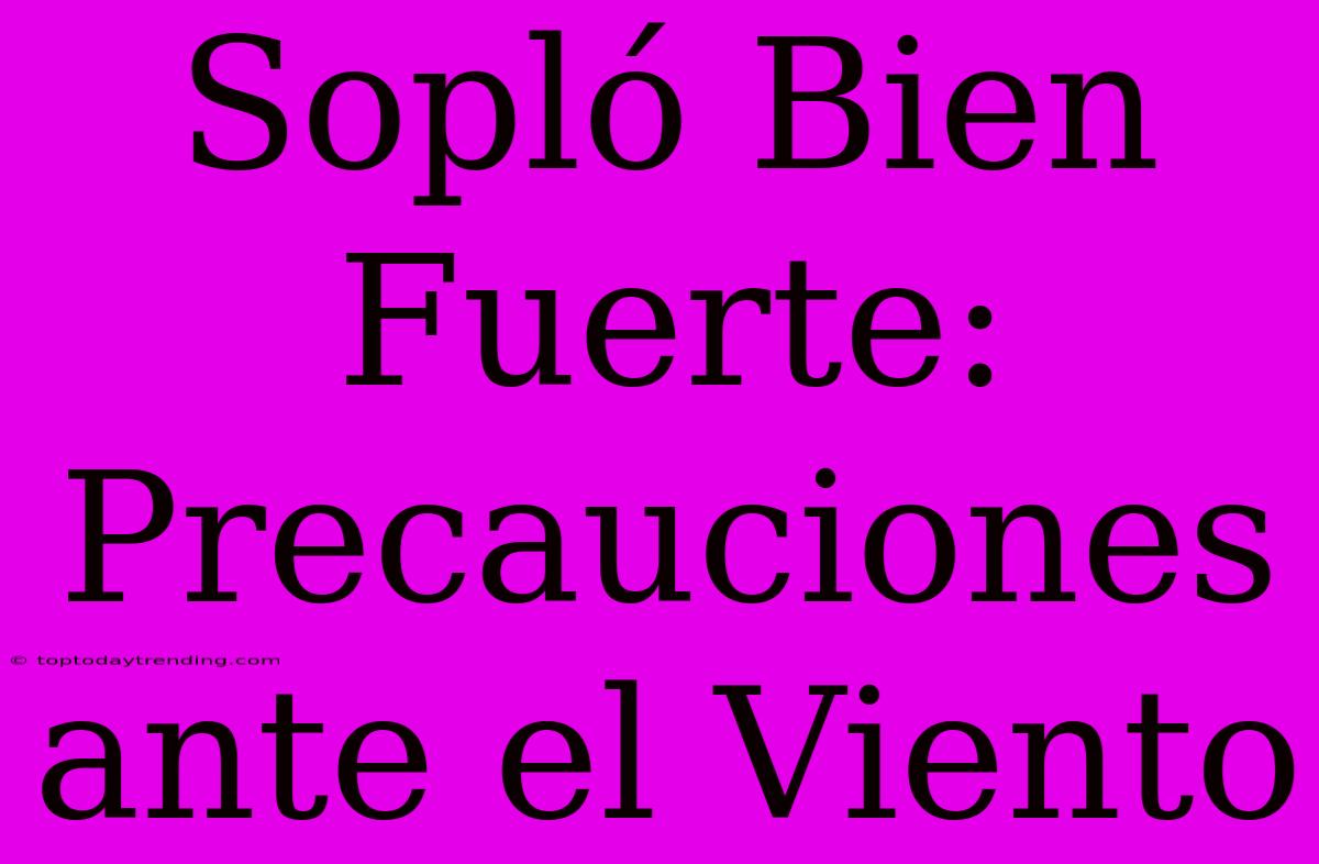 Sopló Bien Fuerte: Precauciones Ante El Viento