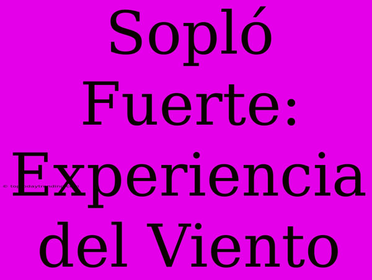 Sopló Fuerte: Experiencia Del Viento