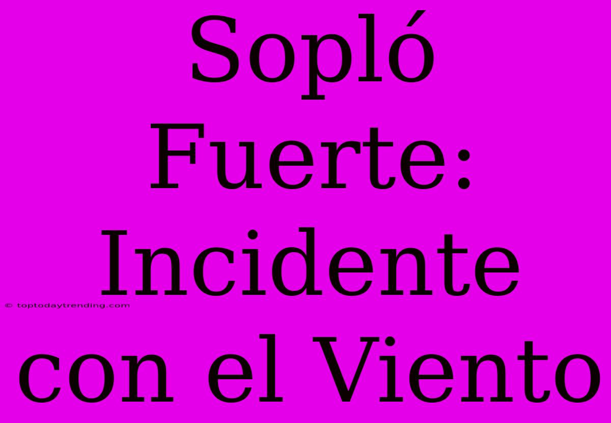 Sopló Fuerte: Incidente Con El Viento