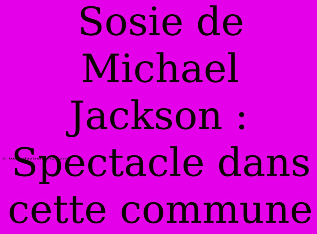 Sosie De Michael Jackson : Spectacle Dans Cette Commune