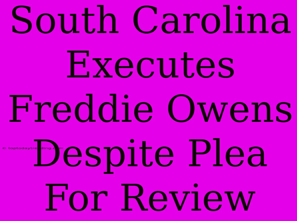 South Carolina Executes Freddie Owens Despite Plea For Review