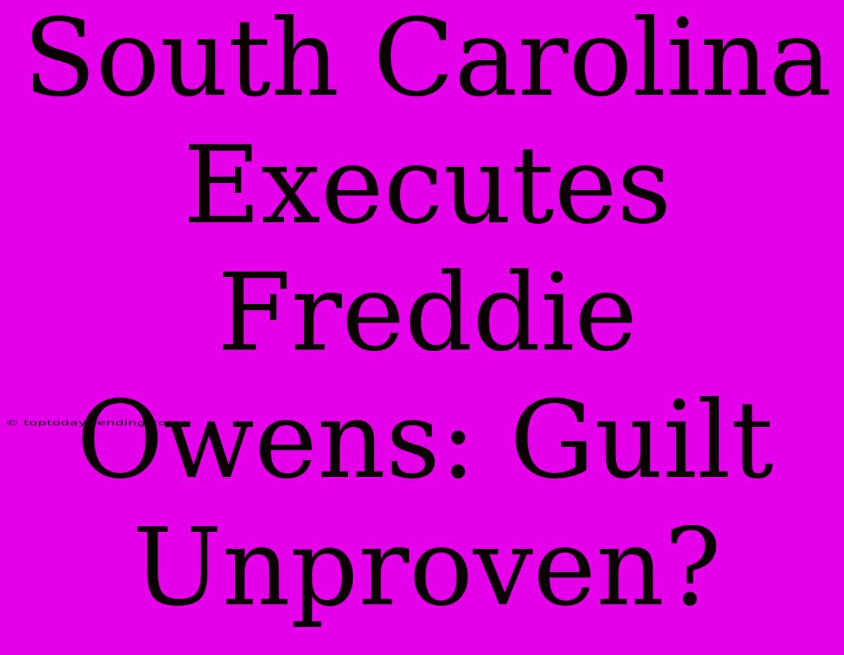 South Carolina Executes Freddie Owens: Guilt Unproven?