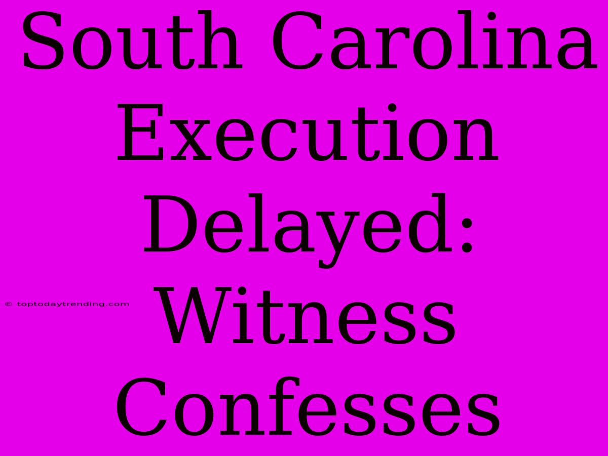 South Carolina Execution Delayed: Witness Confesses