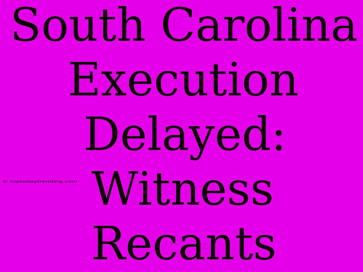 South Carolina Execution Delayed: Witness Recants