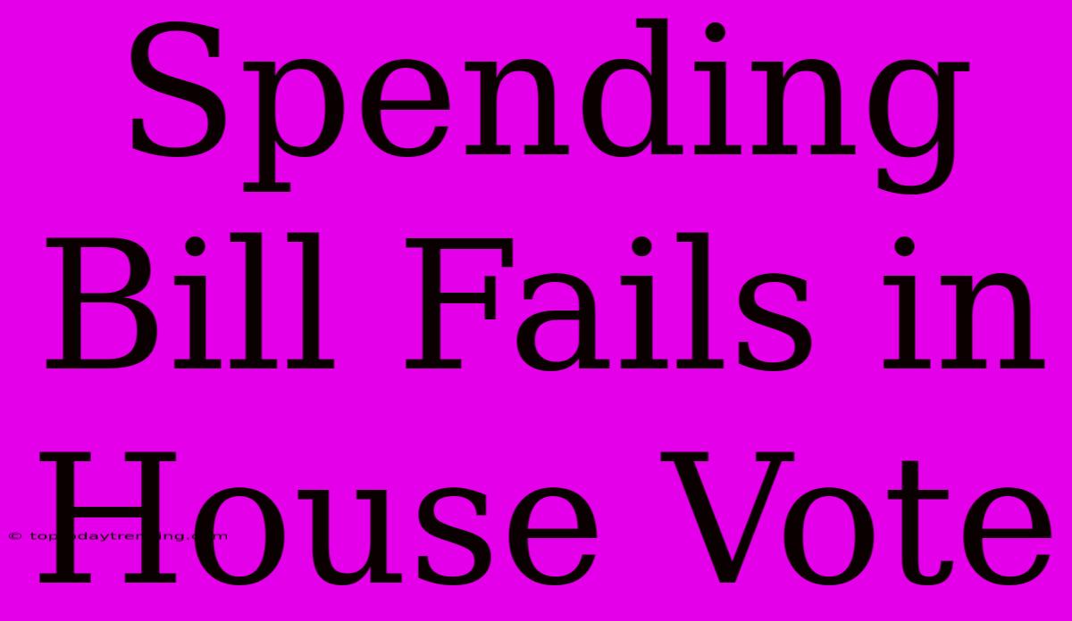 Spending Bill Fails In House Vote