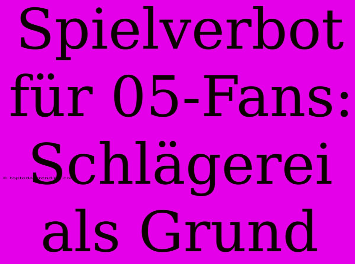 Spielverbot Für 05-Fans: Schlägerei Als Grund