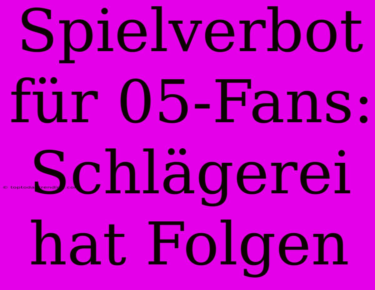 Spielverbot Für 05-Fans: Schlägerei Hat Folgen