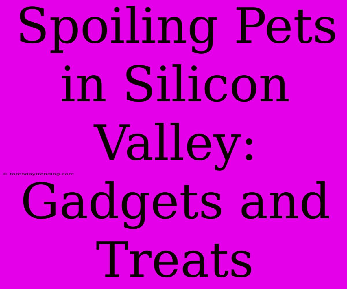 Spoiling Pets In Silicon Valley: Gadgets And Treats