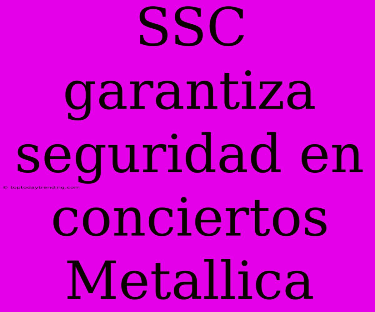 SSC Garantiza Seguridad En Conciertos Metallica