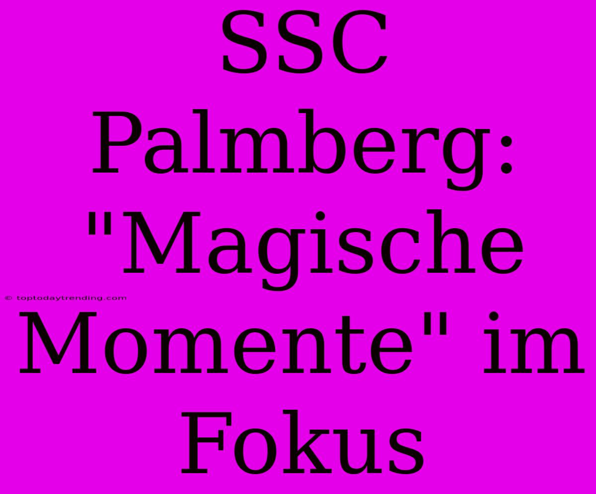 SSC Palmberg: 