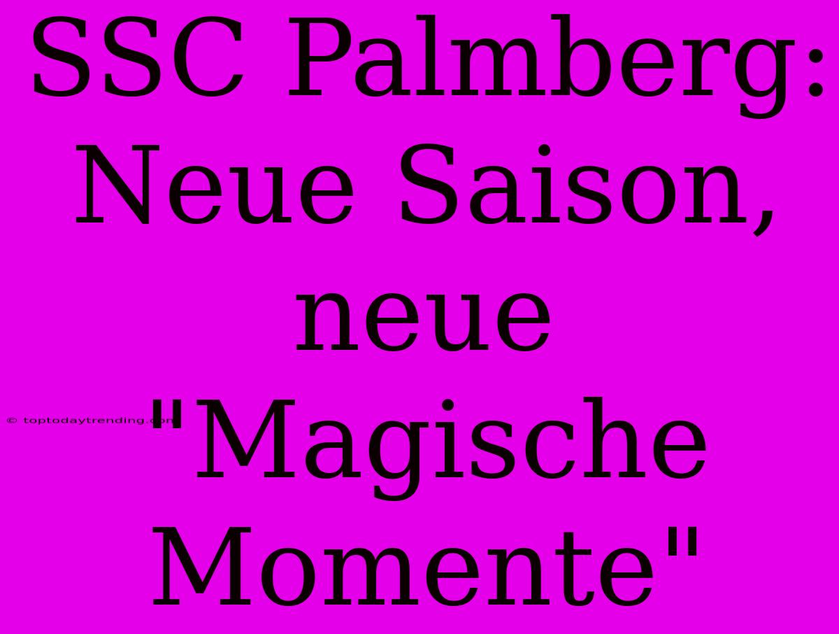 SSC Palmberg: Neue Saison, Neue 