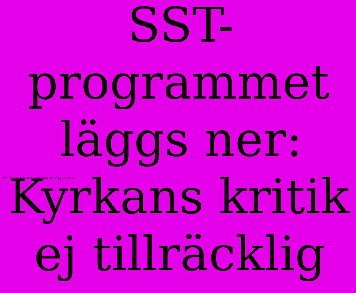 SST-programmet Läggs Ner: Kyrkans Kritik Ej Tillräcklig