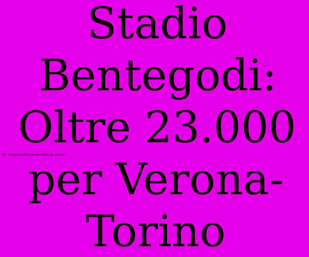 Stadio Bentegodi: Oltre 23.000 Per Verona-Torino