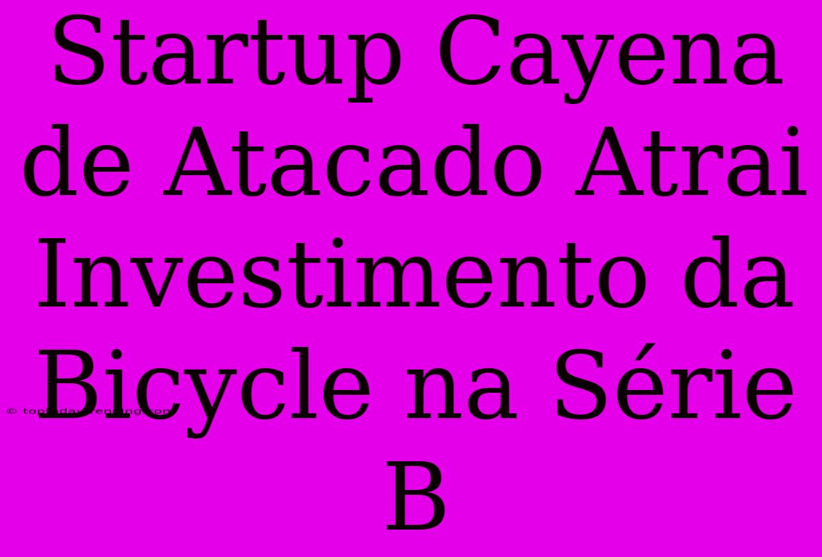 Startup Cayena De Atacado Atrai Investimento Da Bicycle Na Série B