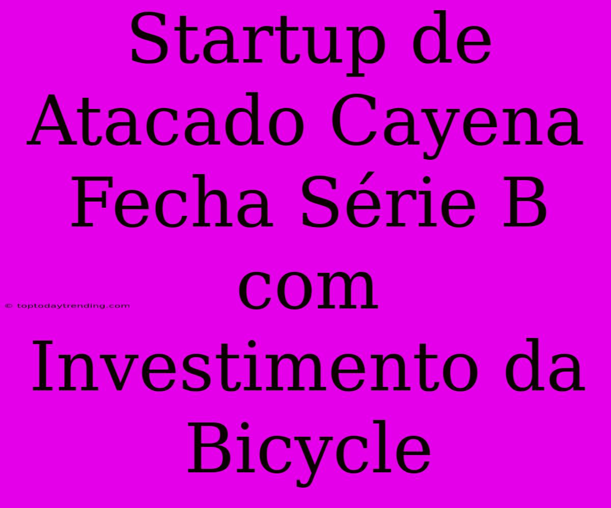 Startup De Atacado Cayena Fecha Série B Com Investimento Da Bicycle