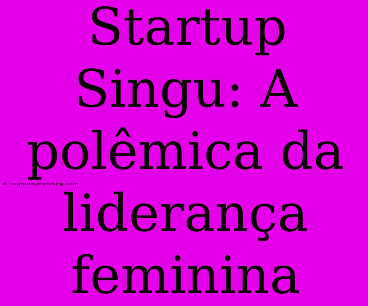 Startup Singu: A Polêmica Da Liderança Feminina