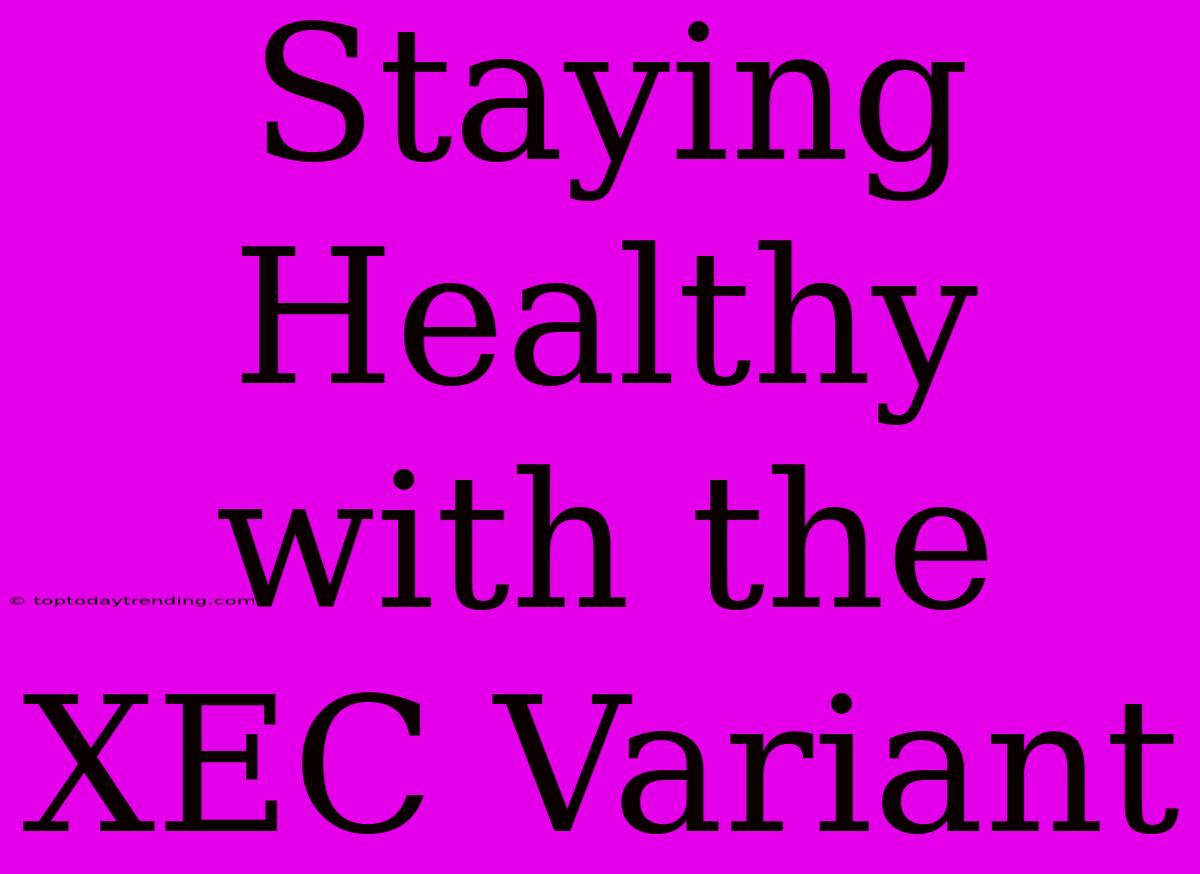 Staying Healthy With The XEC Variant