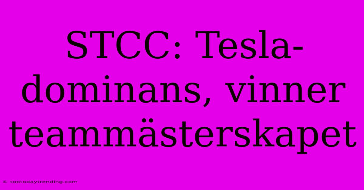 STCC: Tesla-dominans, Vinner Teammästerskapet