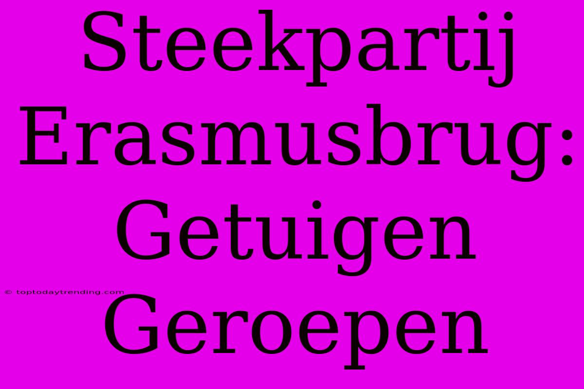 Steekpartij Erasmusbrug: Getuigen Geroepen