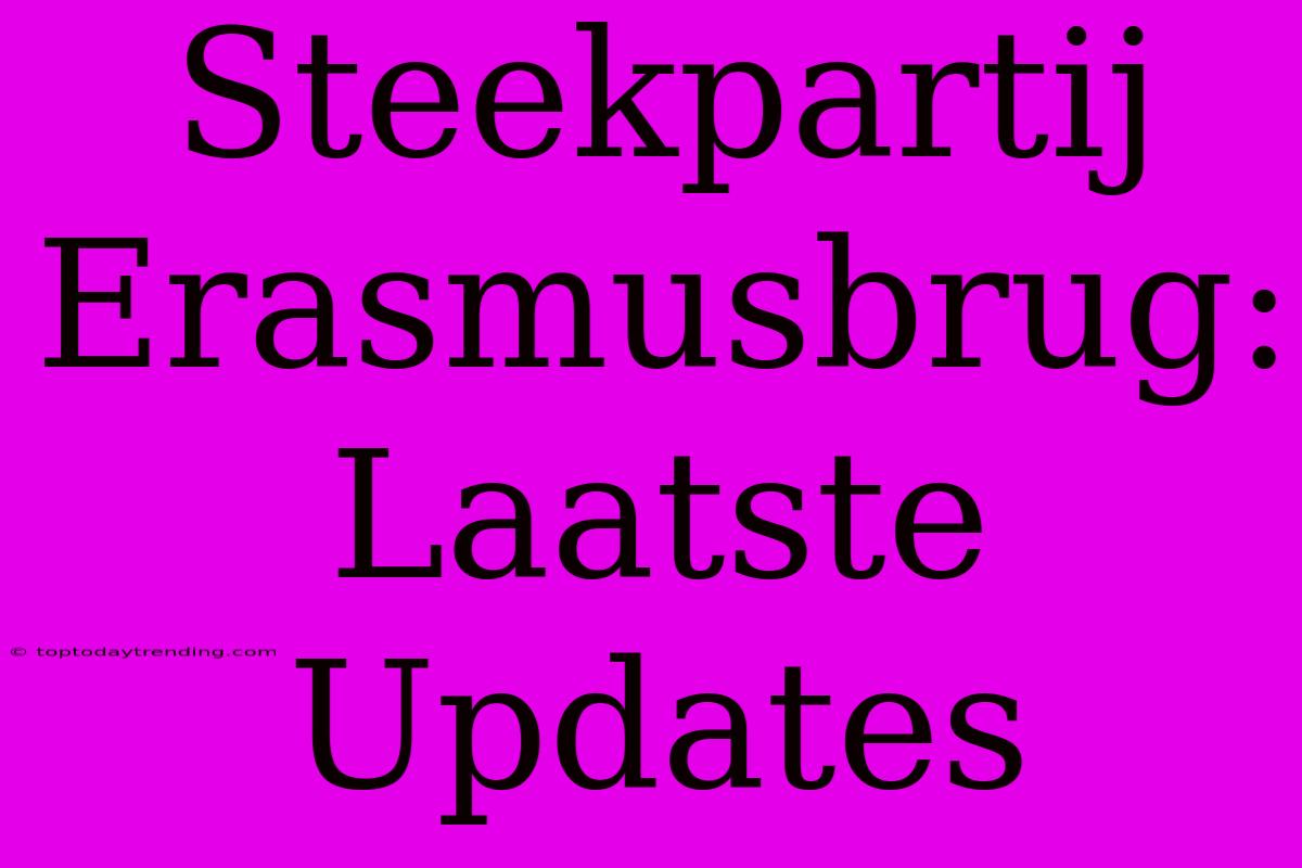 Steekpartij Erasmusbrug: Laatste Updates