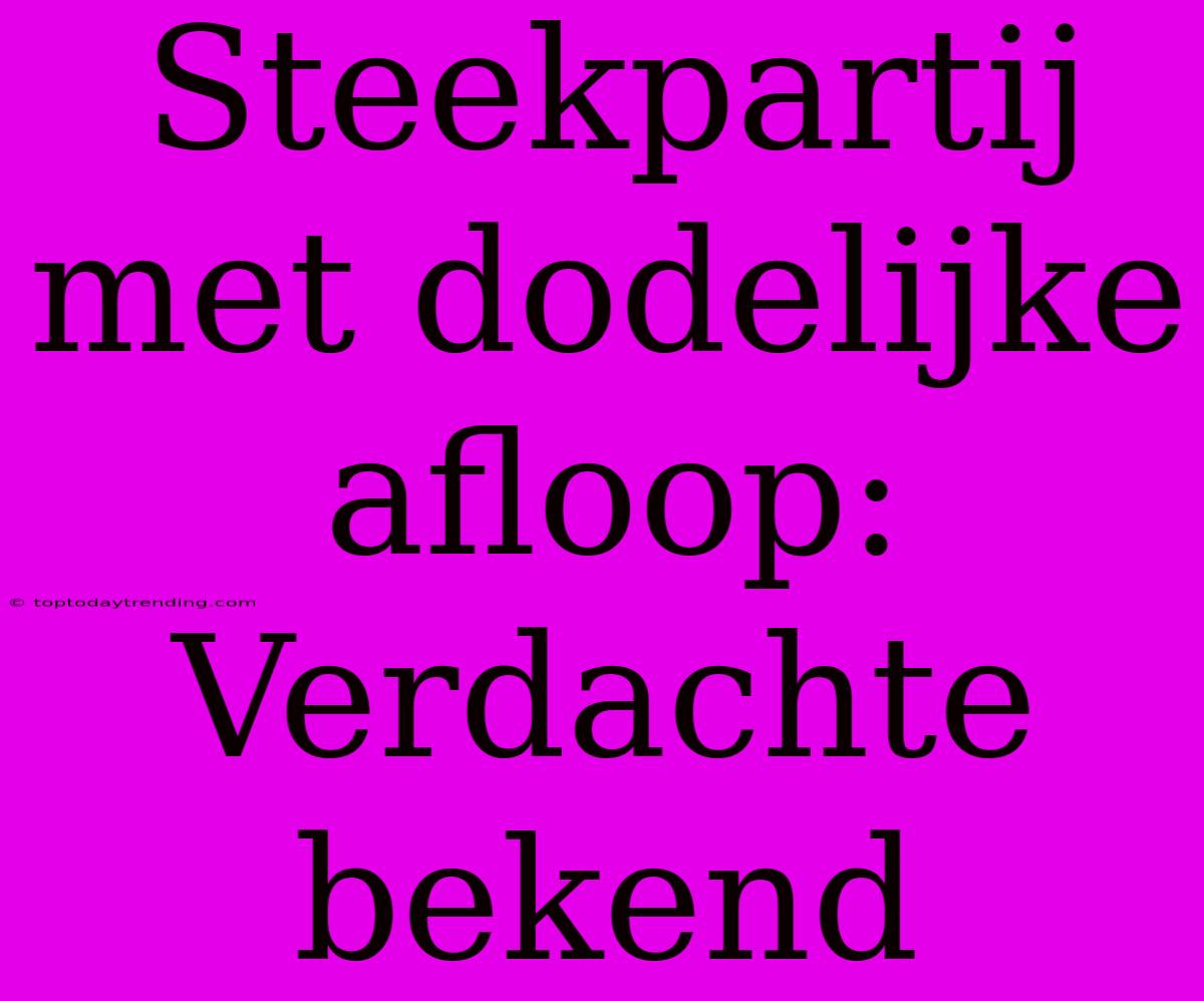 Steekpartij Met Dodelijke Afloop: Verdachte Bekend