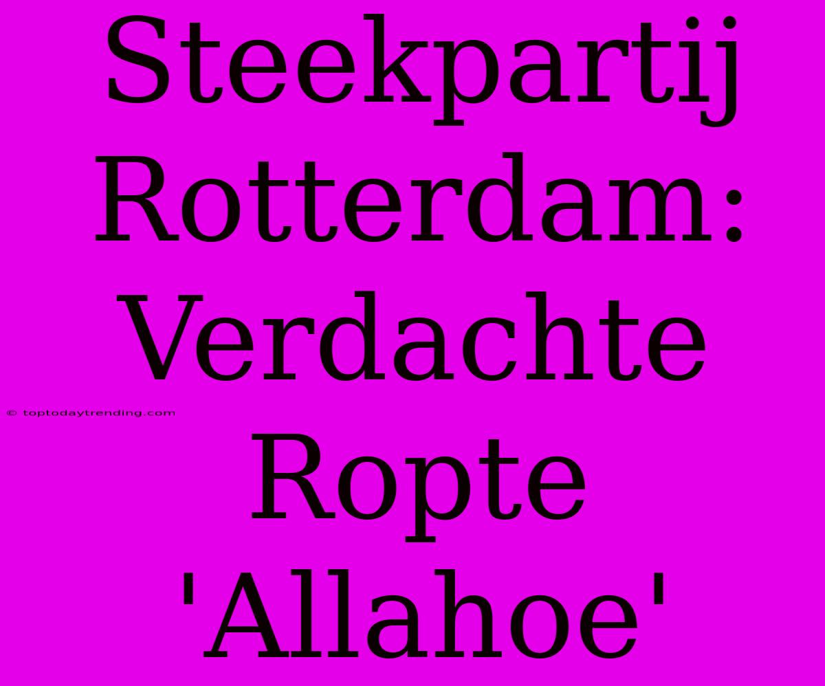 Steekpartij Rotterdam: Verdachte Ropte 'Allahoe'