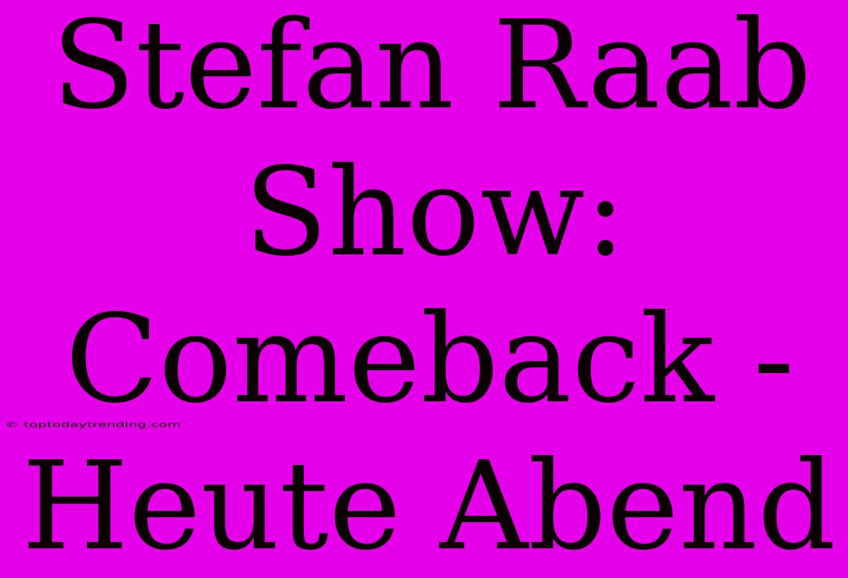 Stefan Raab Show: Comeback - Heute Abend