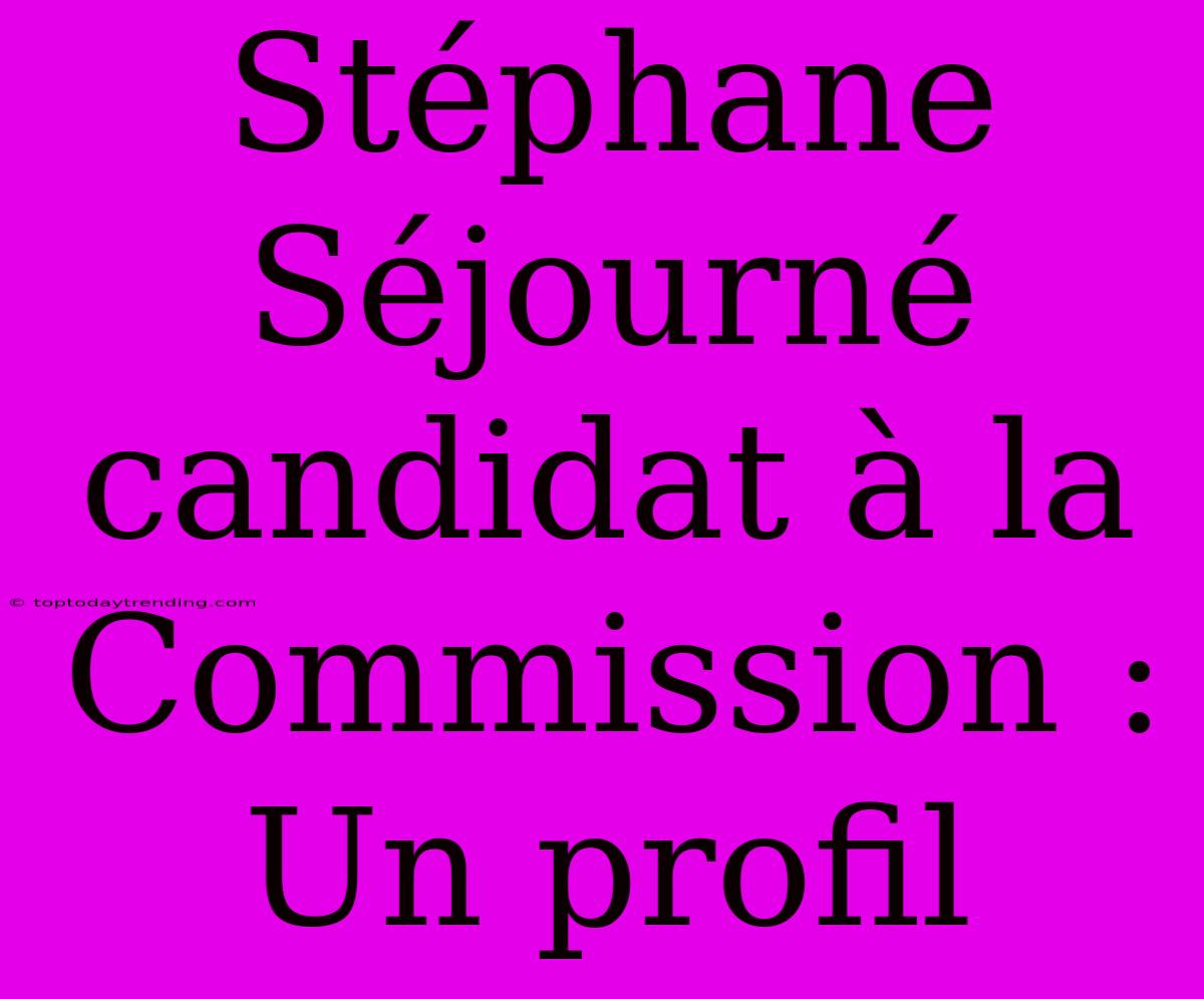 Stéphane Séjourné Candidat À La Commission : Un Profil