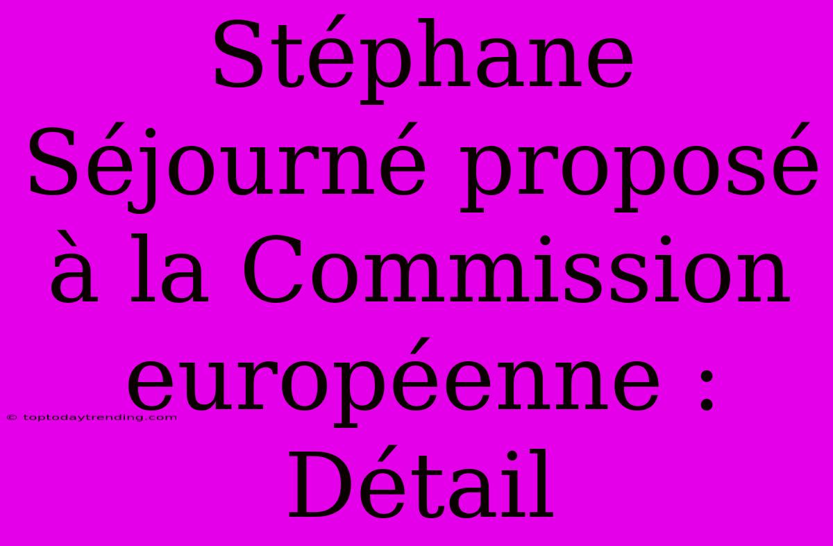 Stéphane Séjourné Proposé À La Commission Européenne : Détail