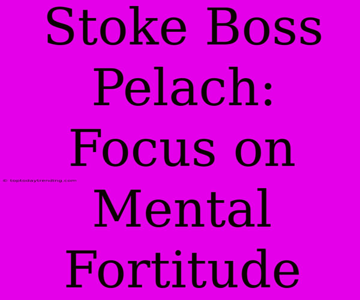 Stoke Boss Pelach: Focus On Mental Fortitude