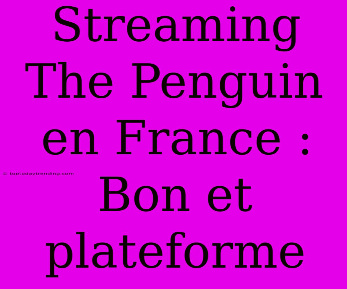 Streaming The Penguin En France : Bon Et Plateforme