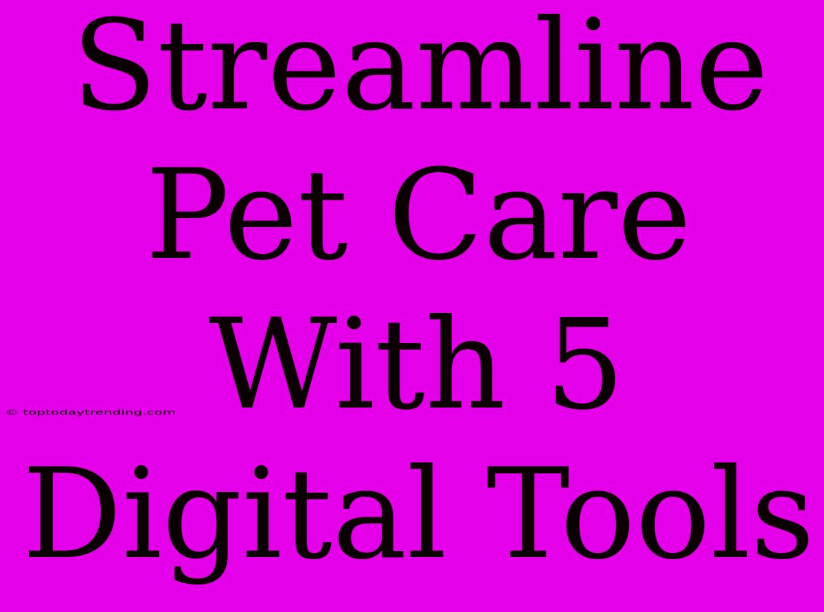 Streamline Pet Care With 5 Digital Tools