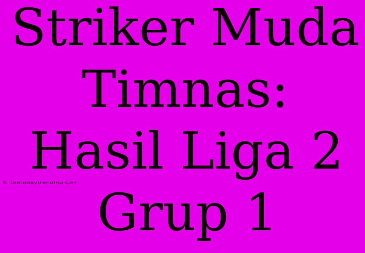 Striker Muda Timnas: Hasil Liga 2 Grup 1