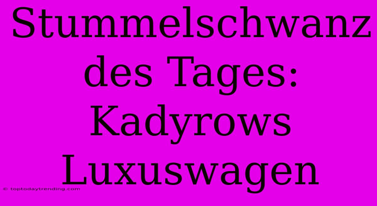 Stummelschwanz Des Tages: Kadyrows Luxuswagen