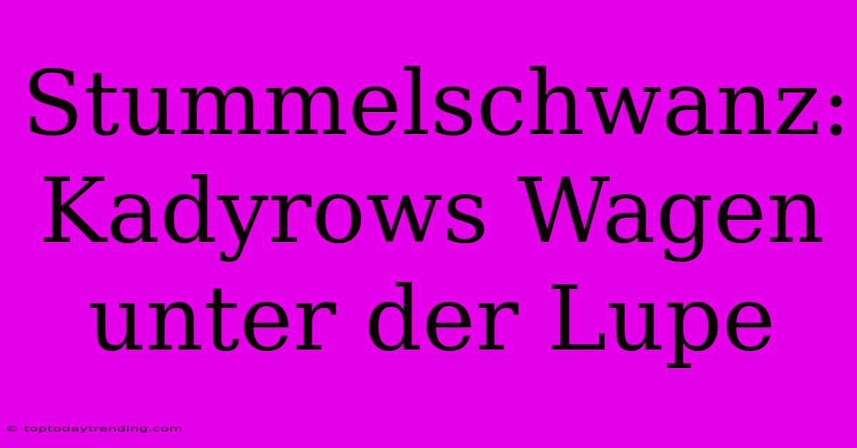 Stummelschwanz: Kadyrows Wagen Unter Der Lupe