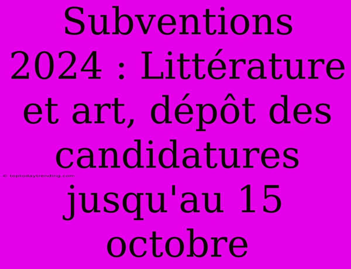 Subventions 2024 : Littérature Et Art, Dépôt Des Candidatures Jusqu'au 15 Octobre