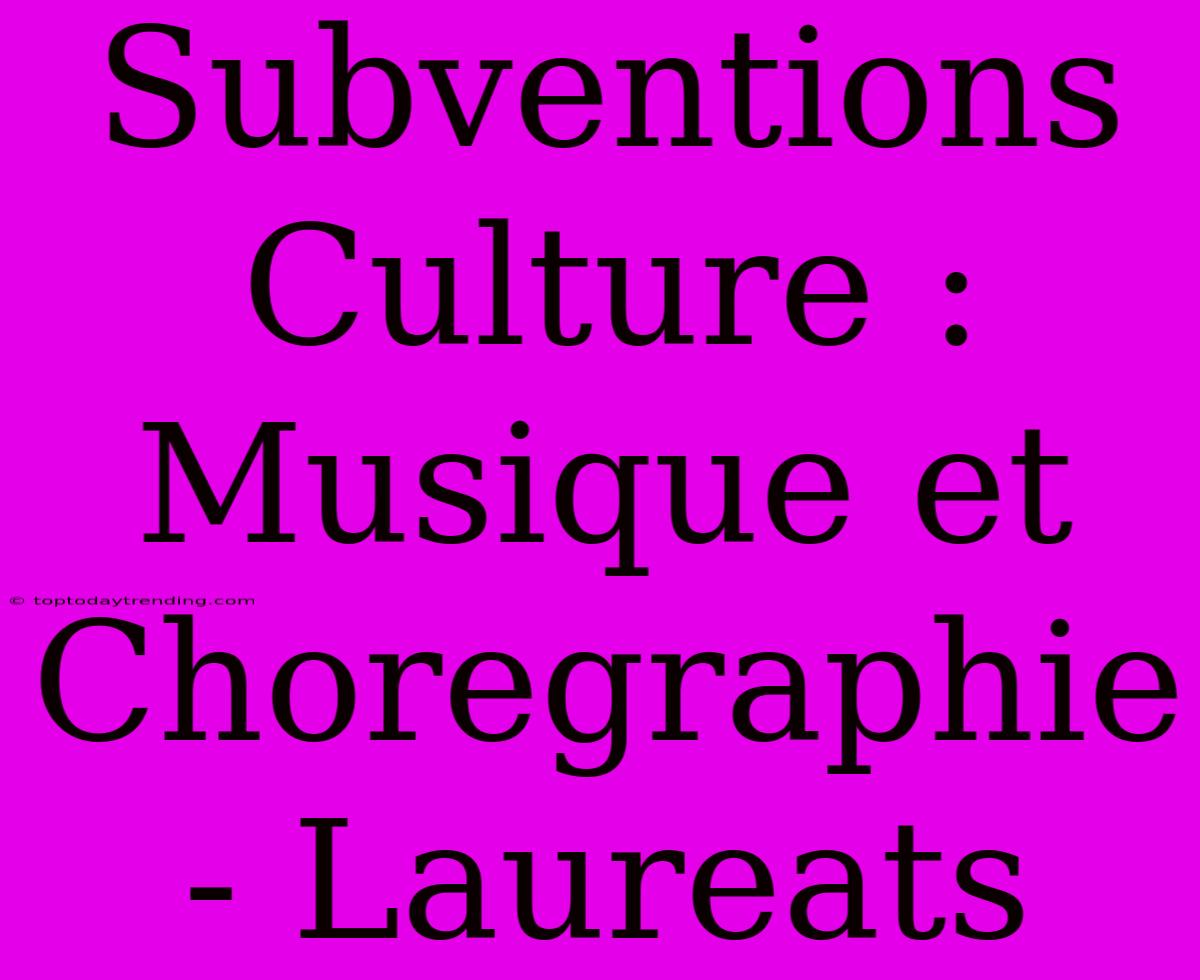 Subventions Culture : Musique Et Choregraphie - Laureats