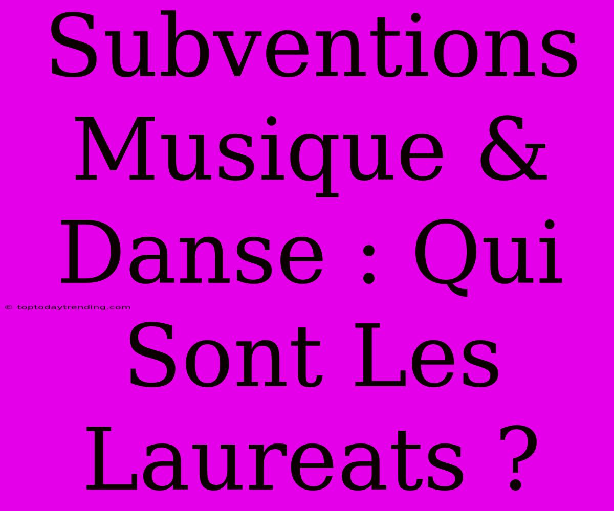 Subventions Musique & Danse : Qui Sont Les Laureats ?