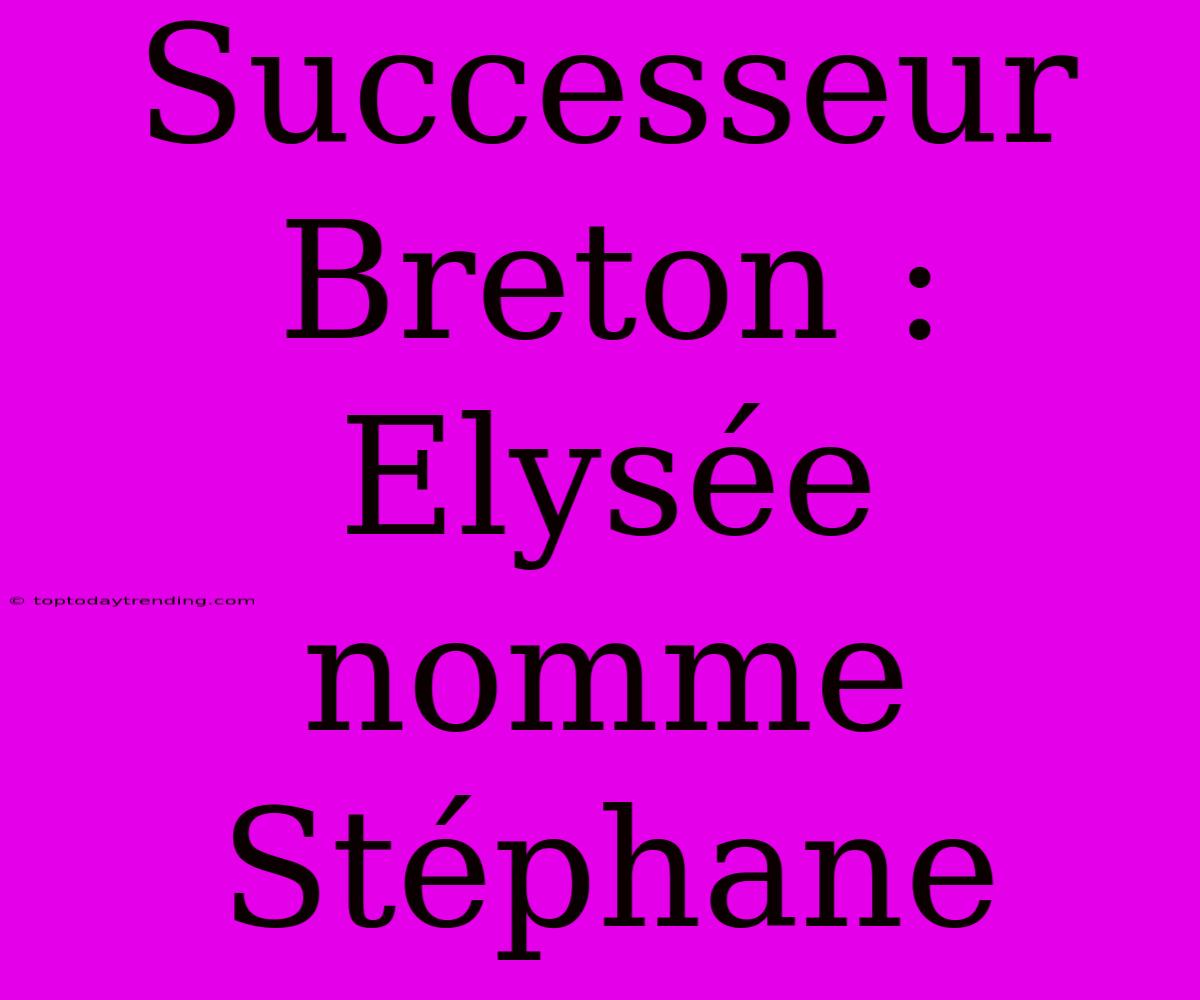 Successeur Breton : Elysée Nomme Stéphane