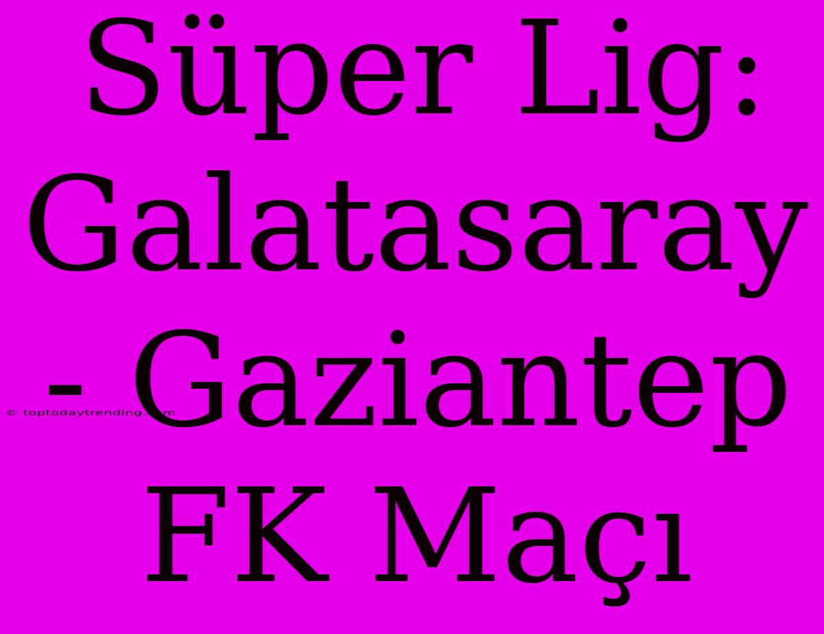 Süper Lig: Galatasaray - Gaziantep FK Maçı