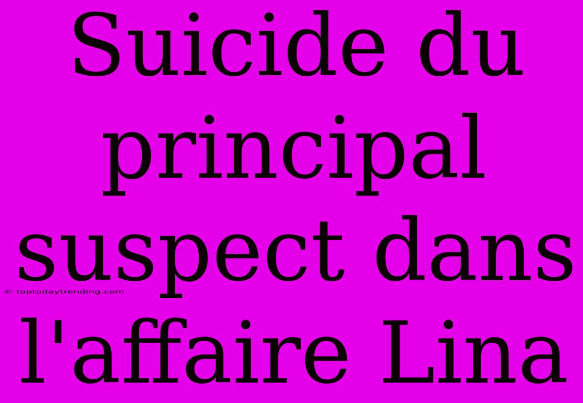 Suicide Du Principal Suspect Dans L'affaire Lina