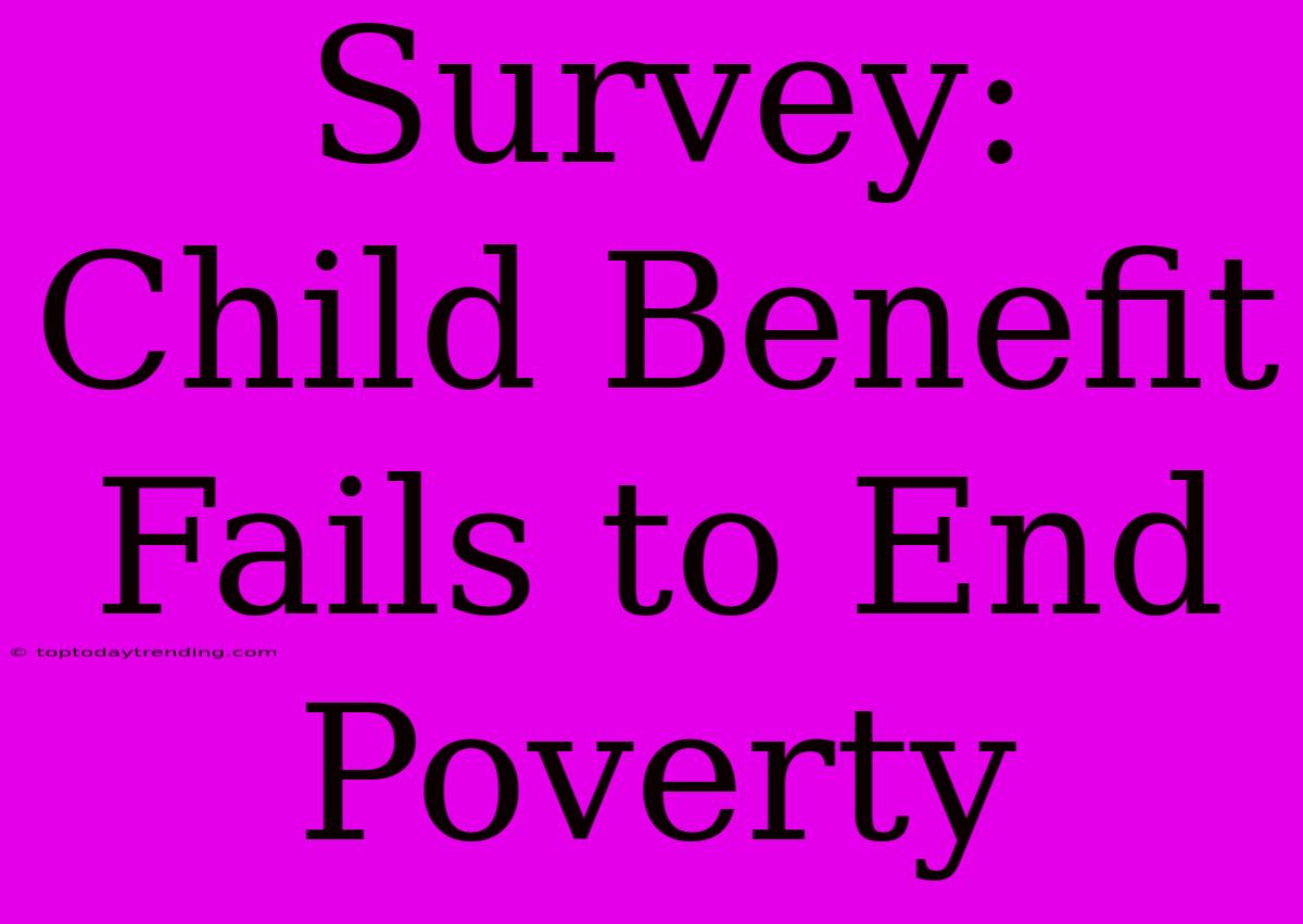 Survey: Child Benefit Fails To End Poverty