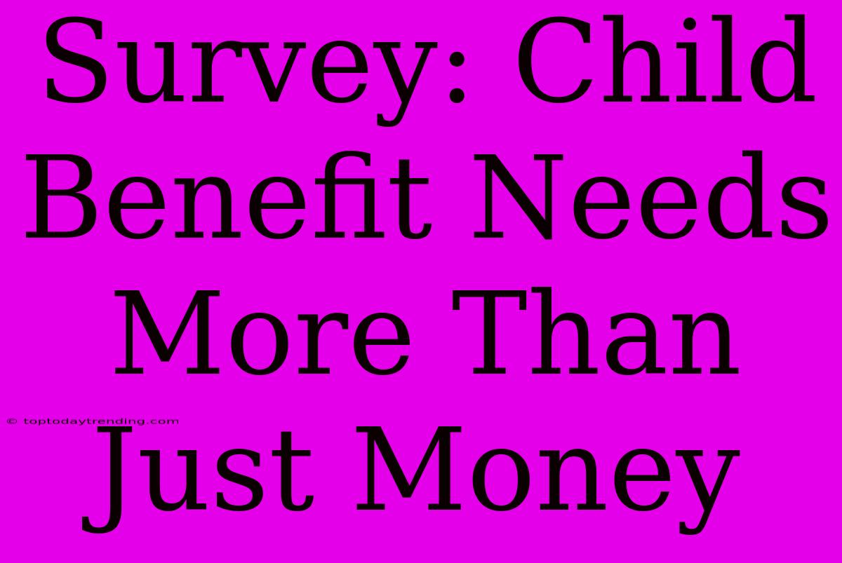 Survey: Child Benefit Needs More Than Just Money