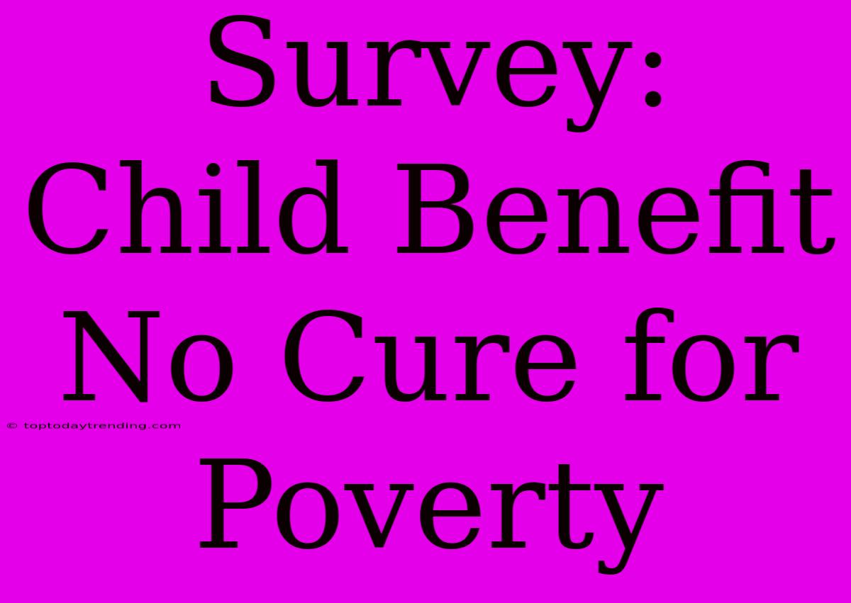 Survey: Child Benefit No Cure For Poverty