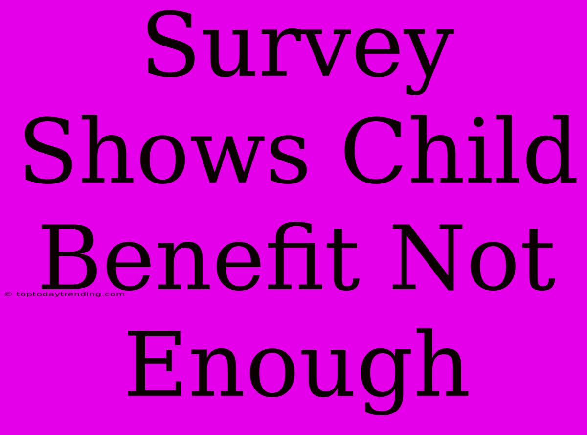 Survey Shows Child Benefit Not Enough