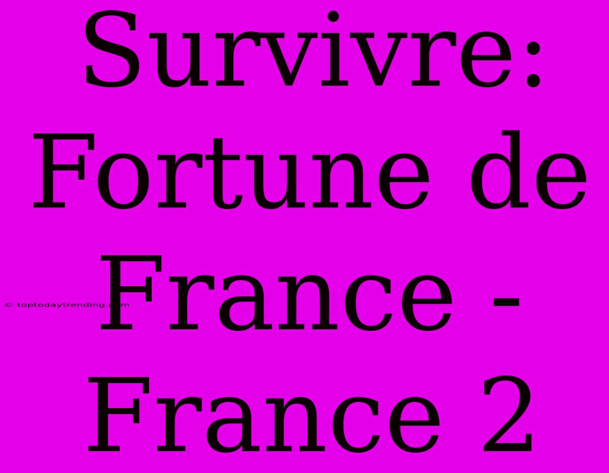 Survivre: Fortune De France - France 2