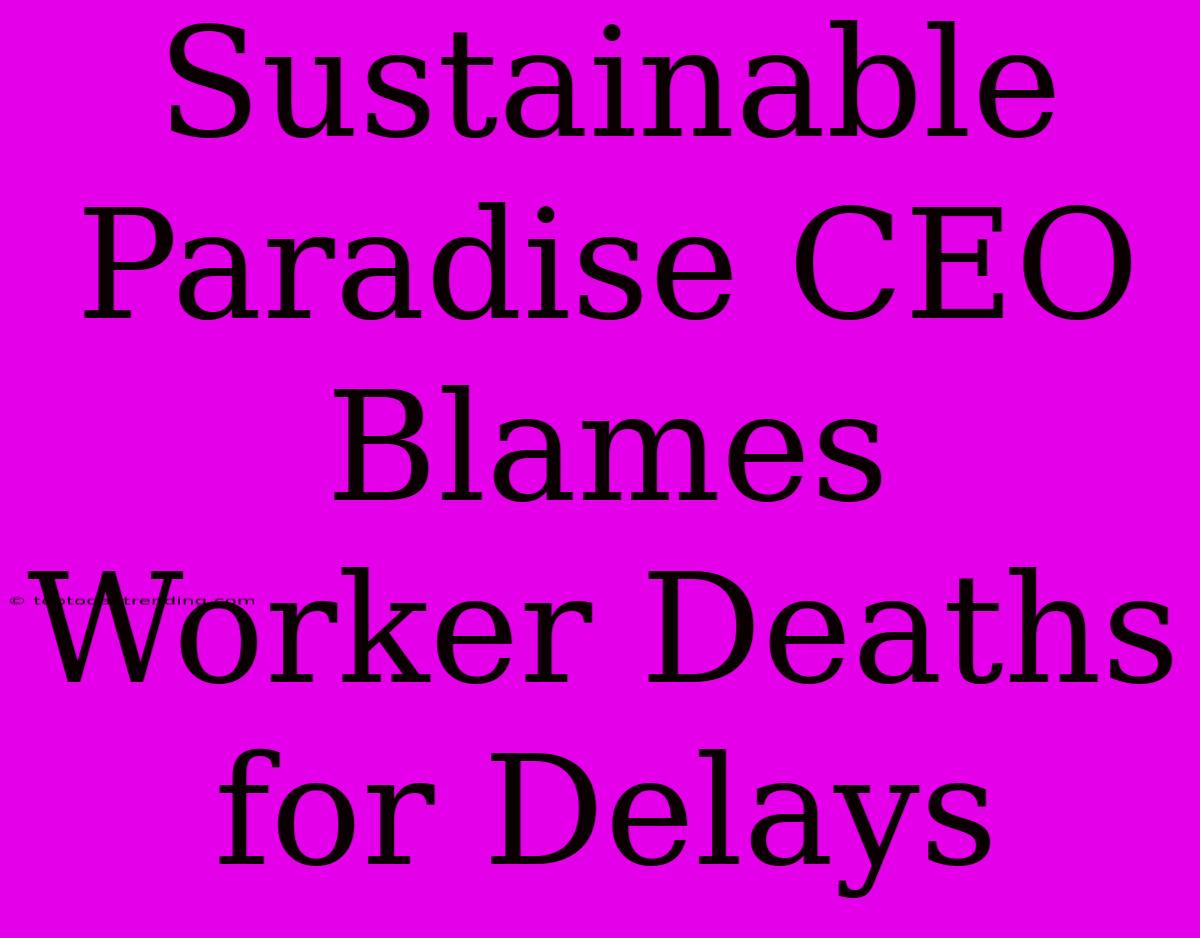 Sustainable Paradise CEO Blames Worker Deaths For Delays