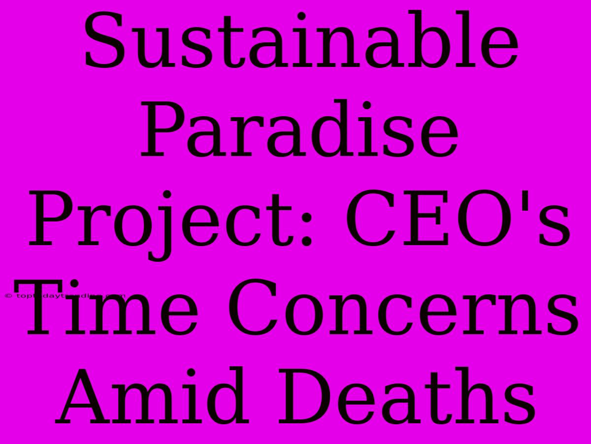 Sustainable Paradise Project: CEO's Time Concerns Amid Deaths