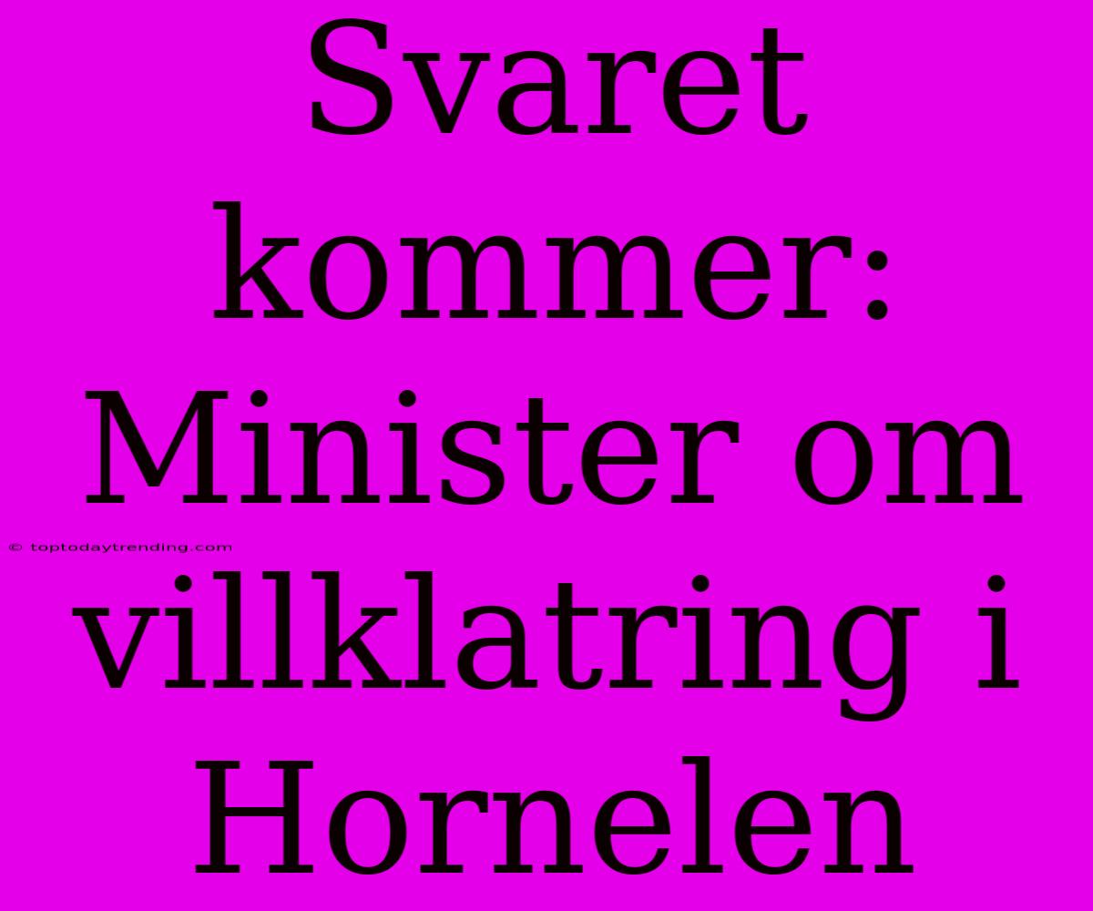 Svaret Kommer: Minister Om Villklatring I Hornelen